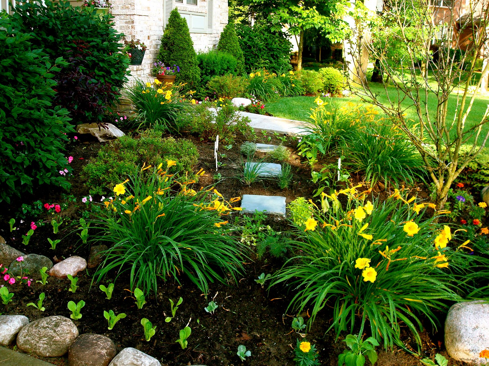 Beautiful Evergreen Grasses Landscaping Ideas Page