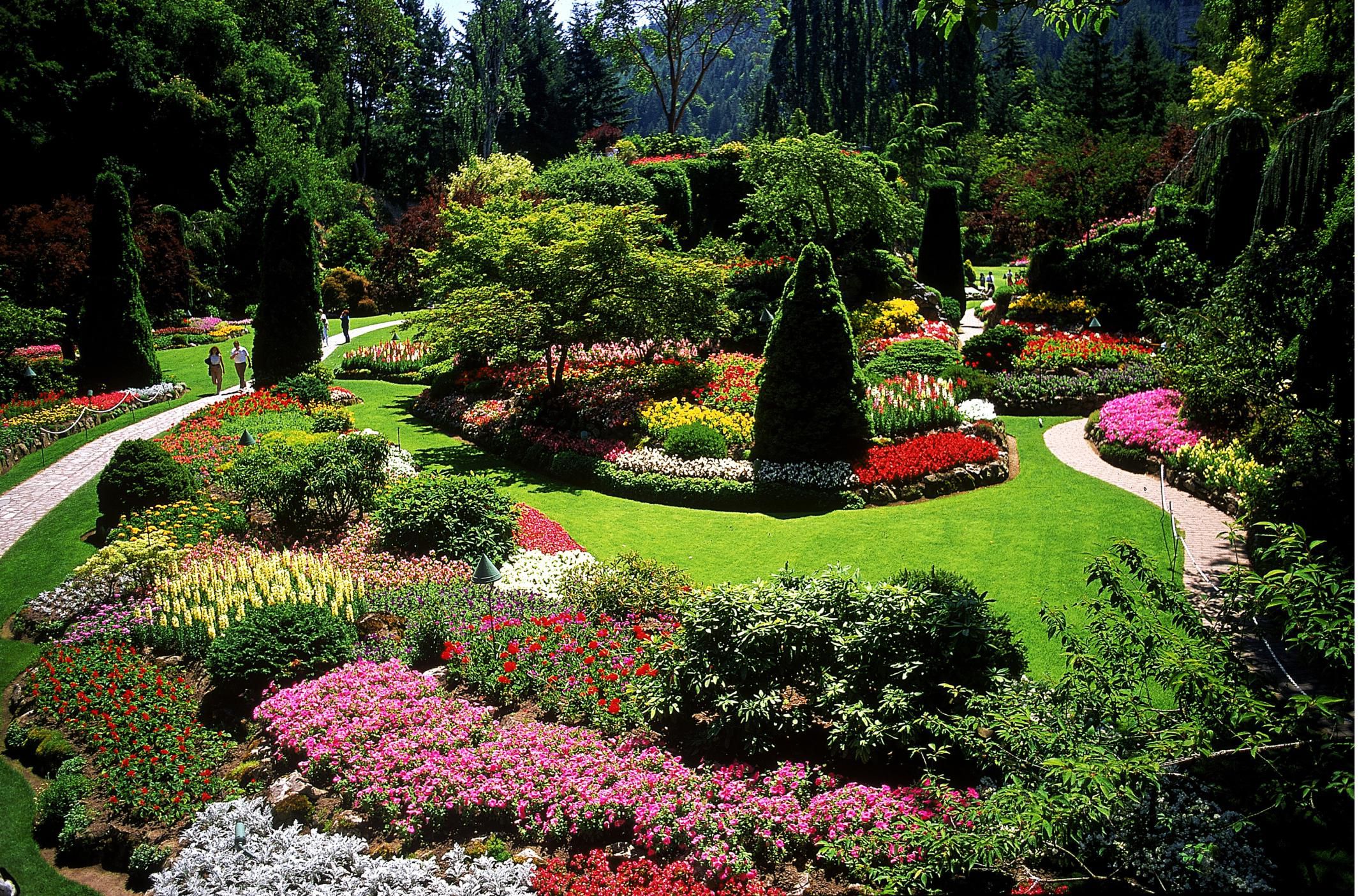 Simple Landscaping Ideas