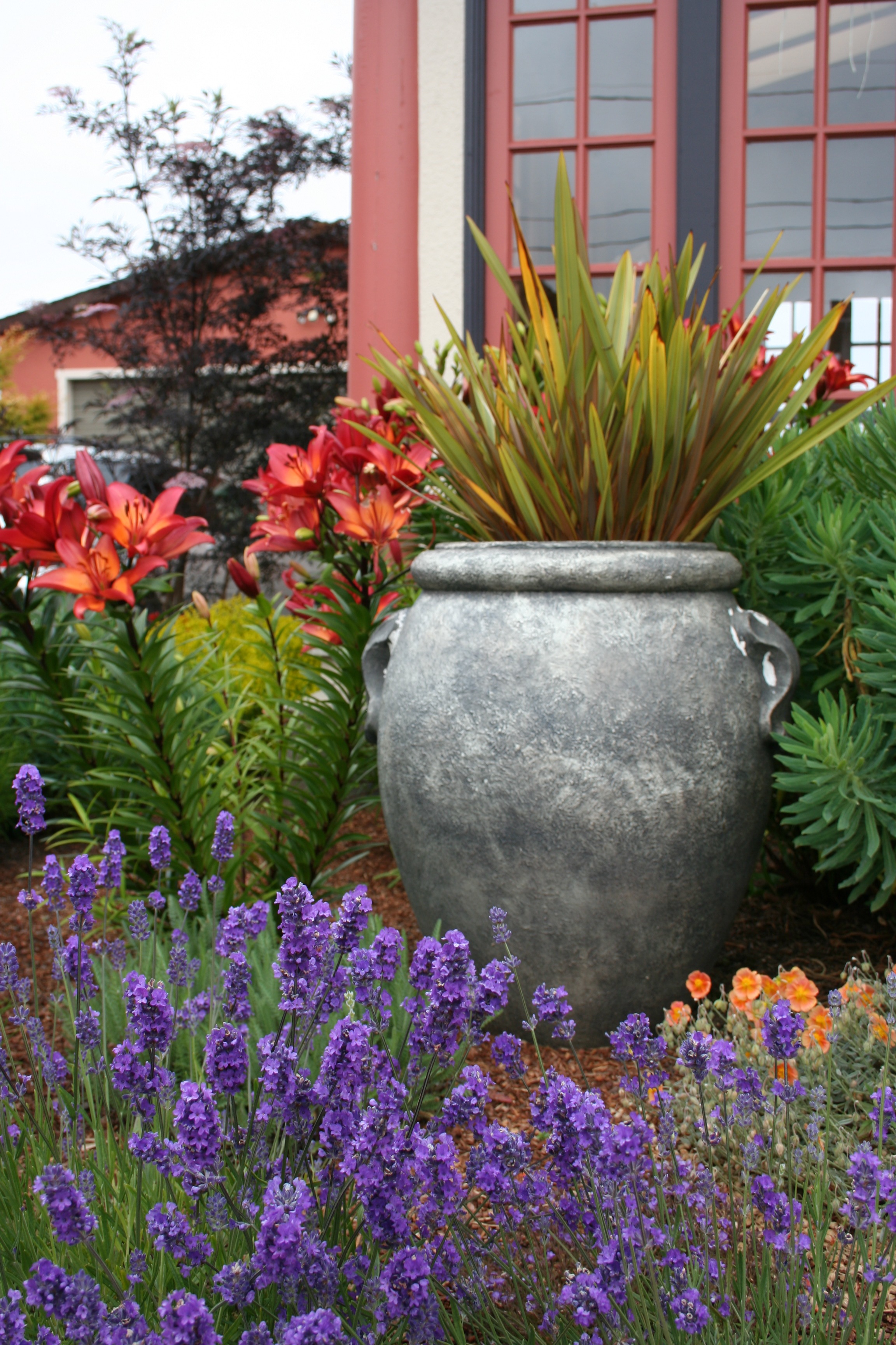 Landscaping Ideas