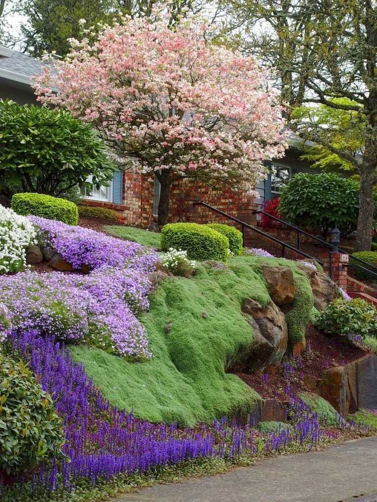 Mediterranean Garden Design