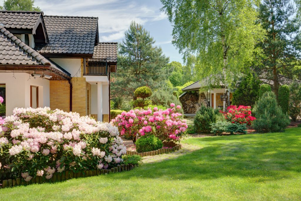Plants Landscaping Frontyard Flowers Lawn Landscaping Atlanta