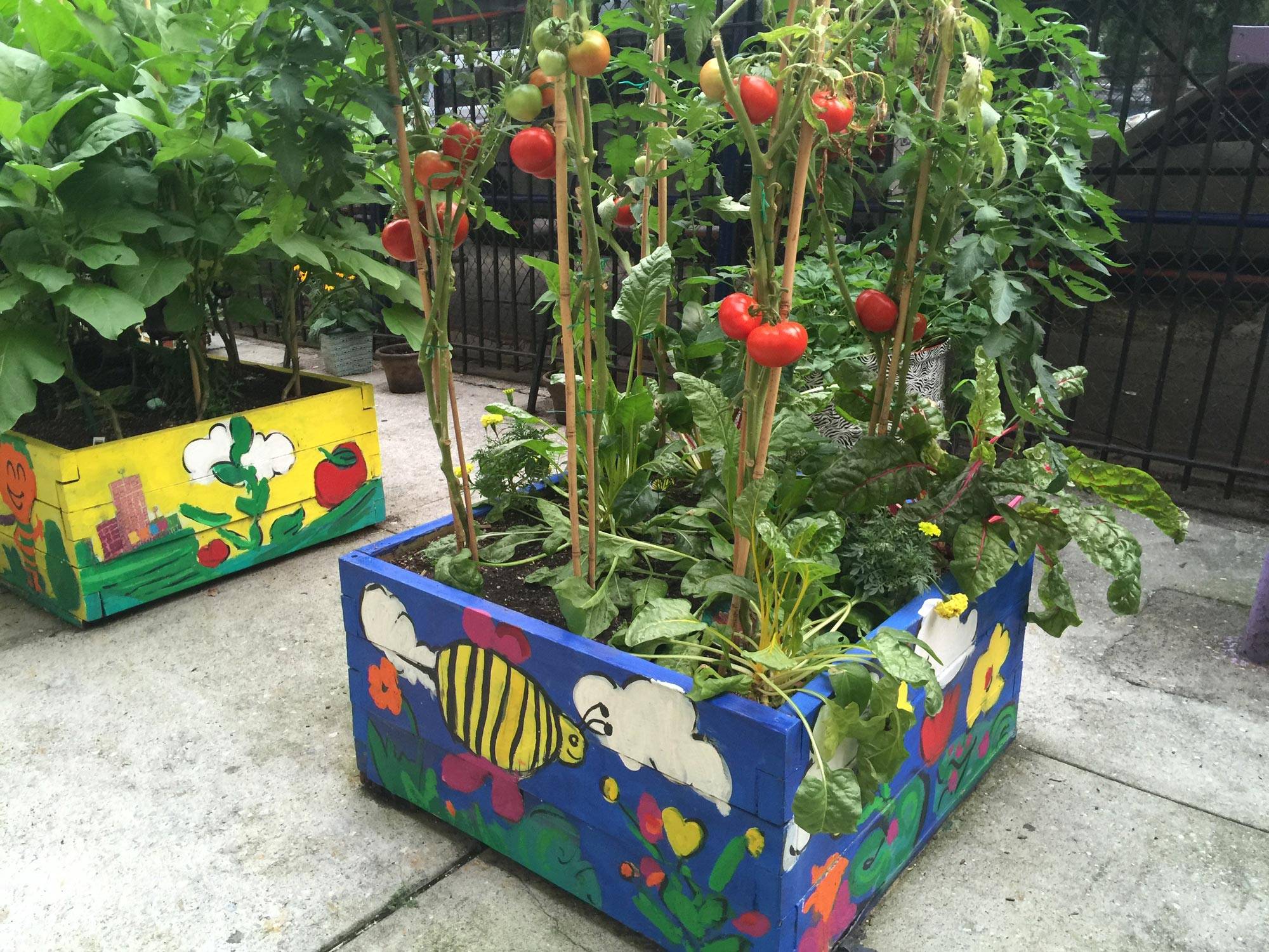 School Gardens School Garden Ideas