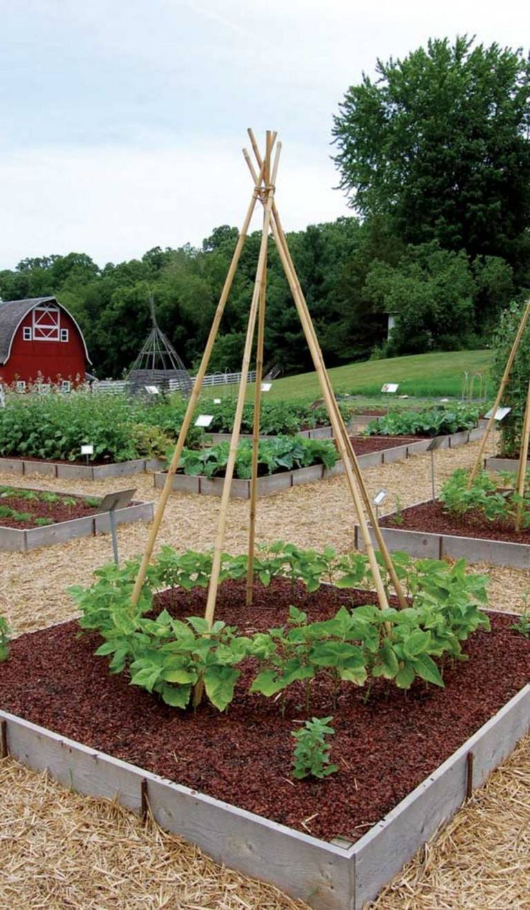 Sweet Simple School Garden Design Ideas Page