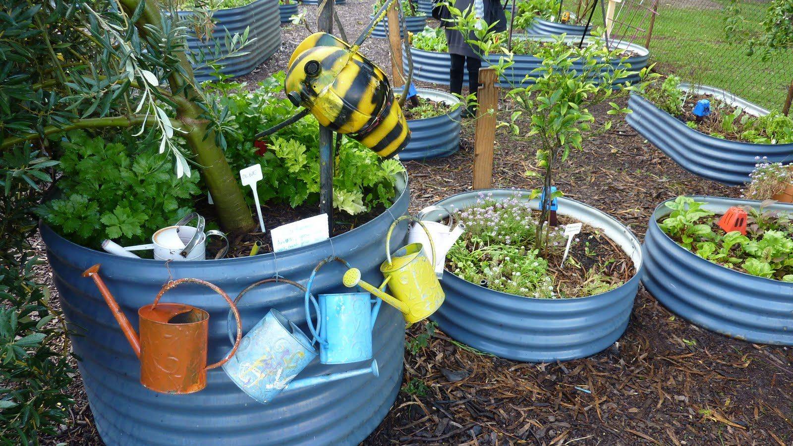 Chimborazo Elementary Schools Teaching Garden Garden Design