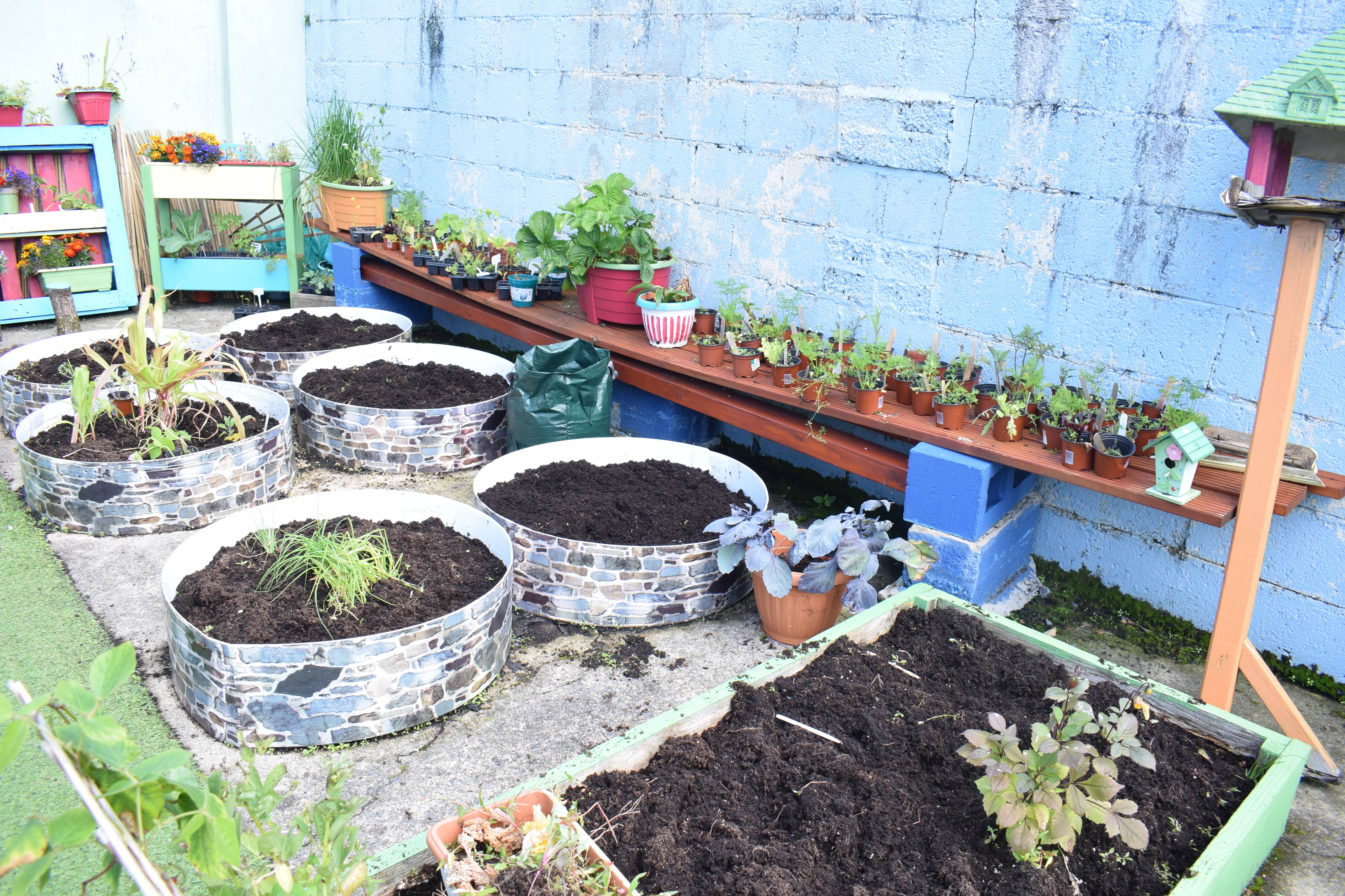 Cute And Simple School Garden Design Ideas