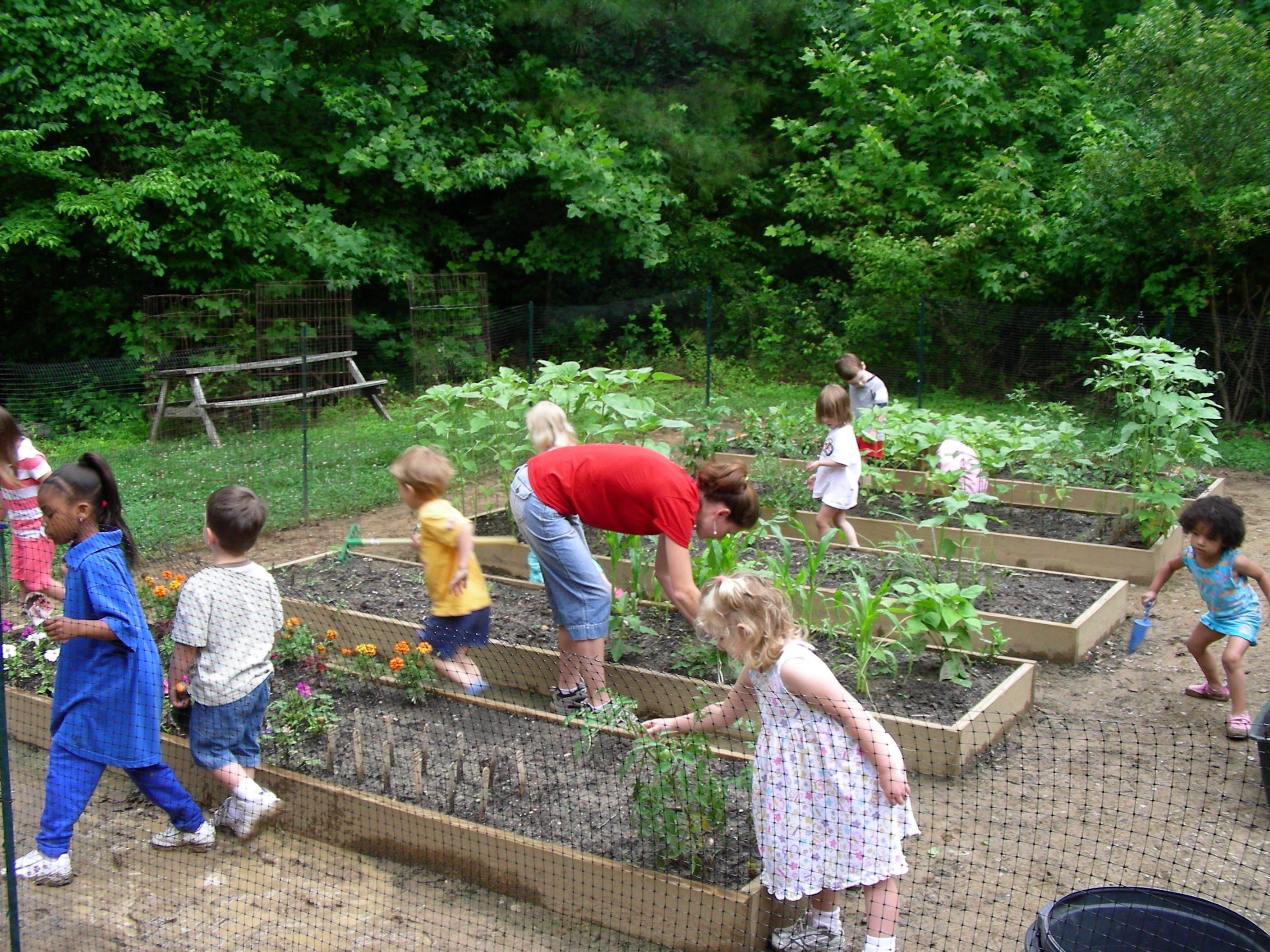 Preschool Garden Ideas