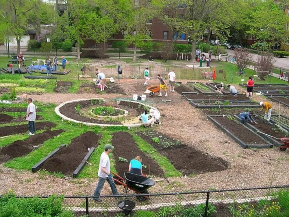 Dovers First Robotic Community Garden Diversity