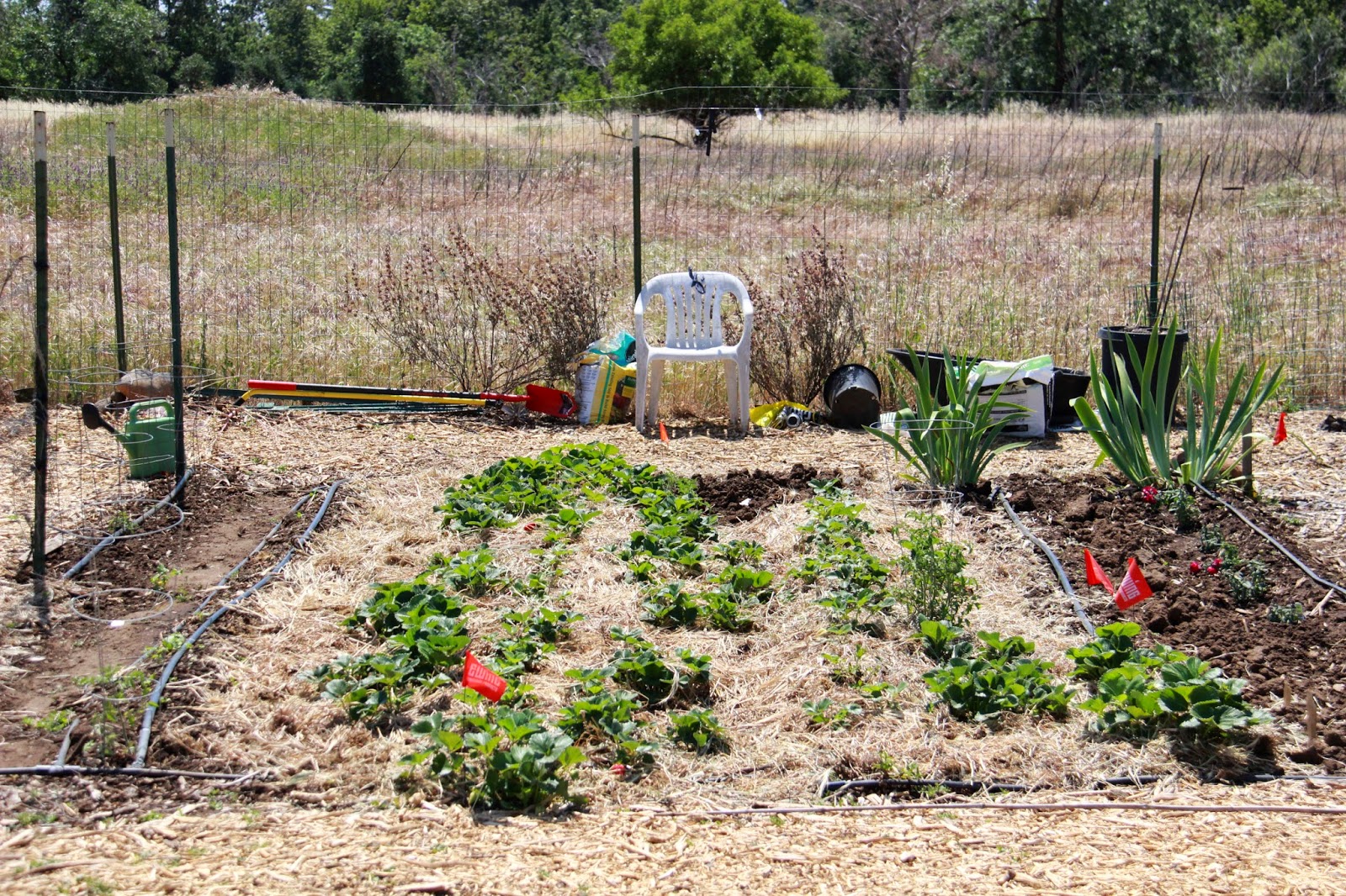 A Community Garden Sunset Magazine