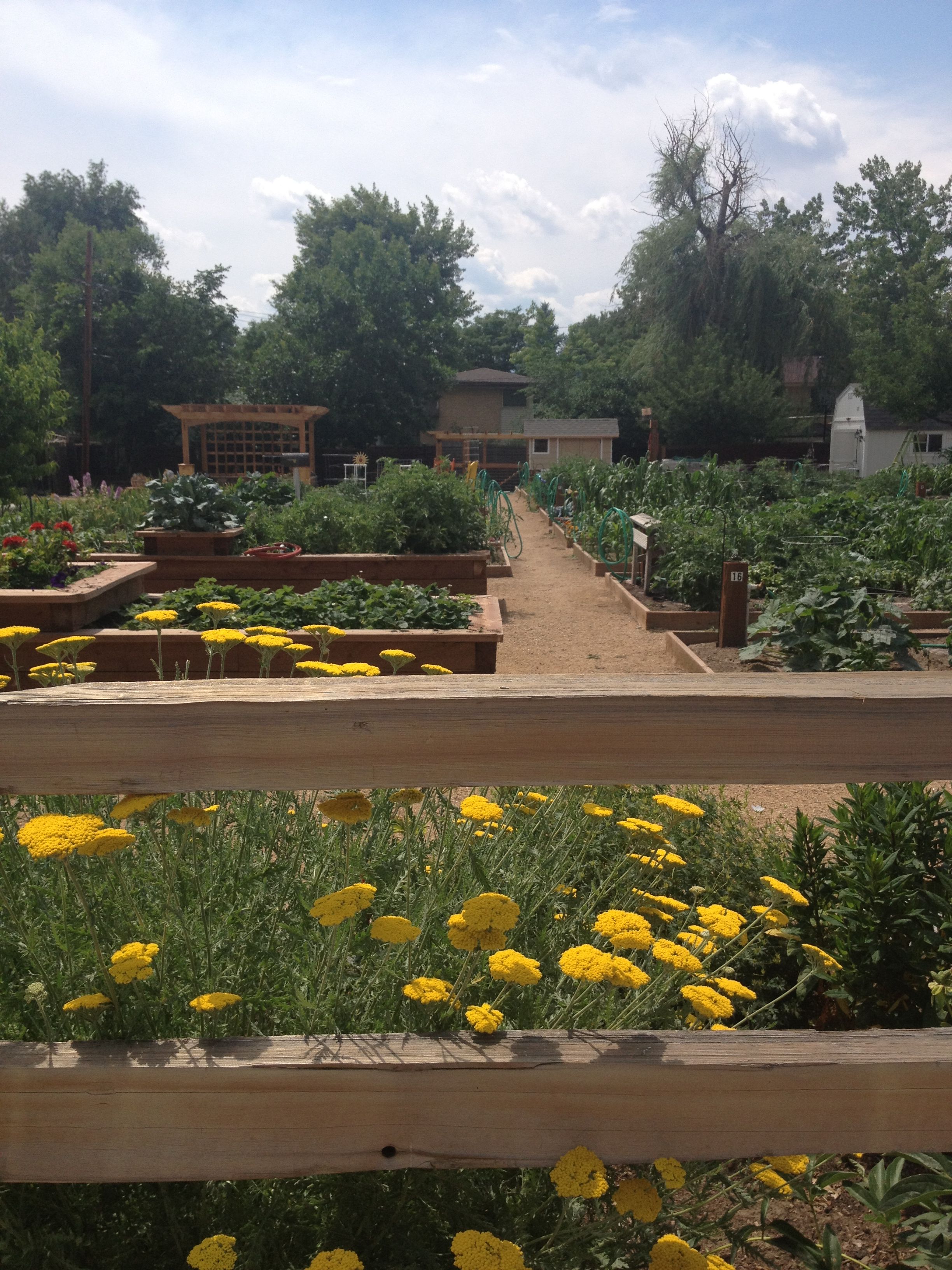 A Community Garden Sunset Magazine