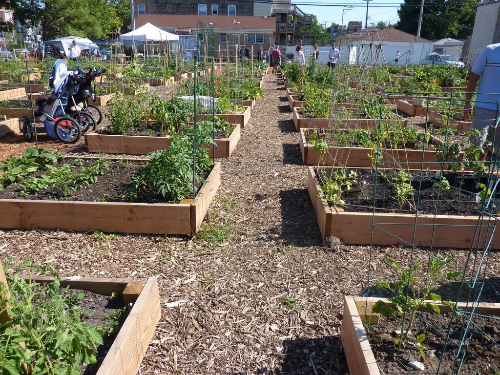 Community Garden Ideas