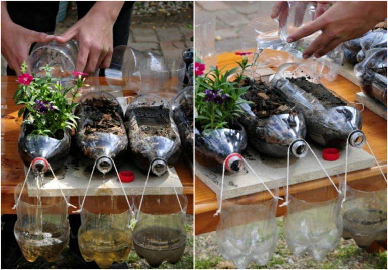 Primary School Science Garden Display Primary School