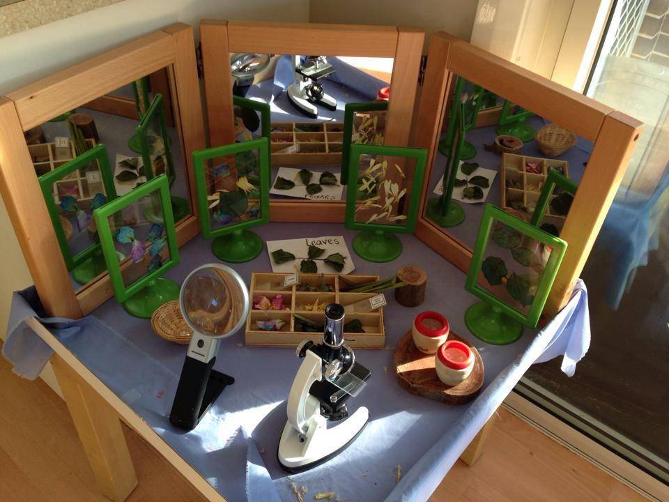 Science Discovery Area Garden Nursery