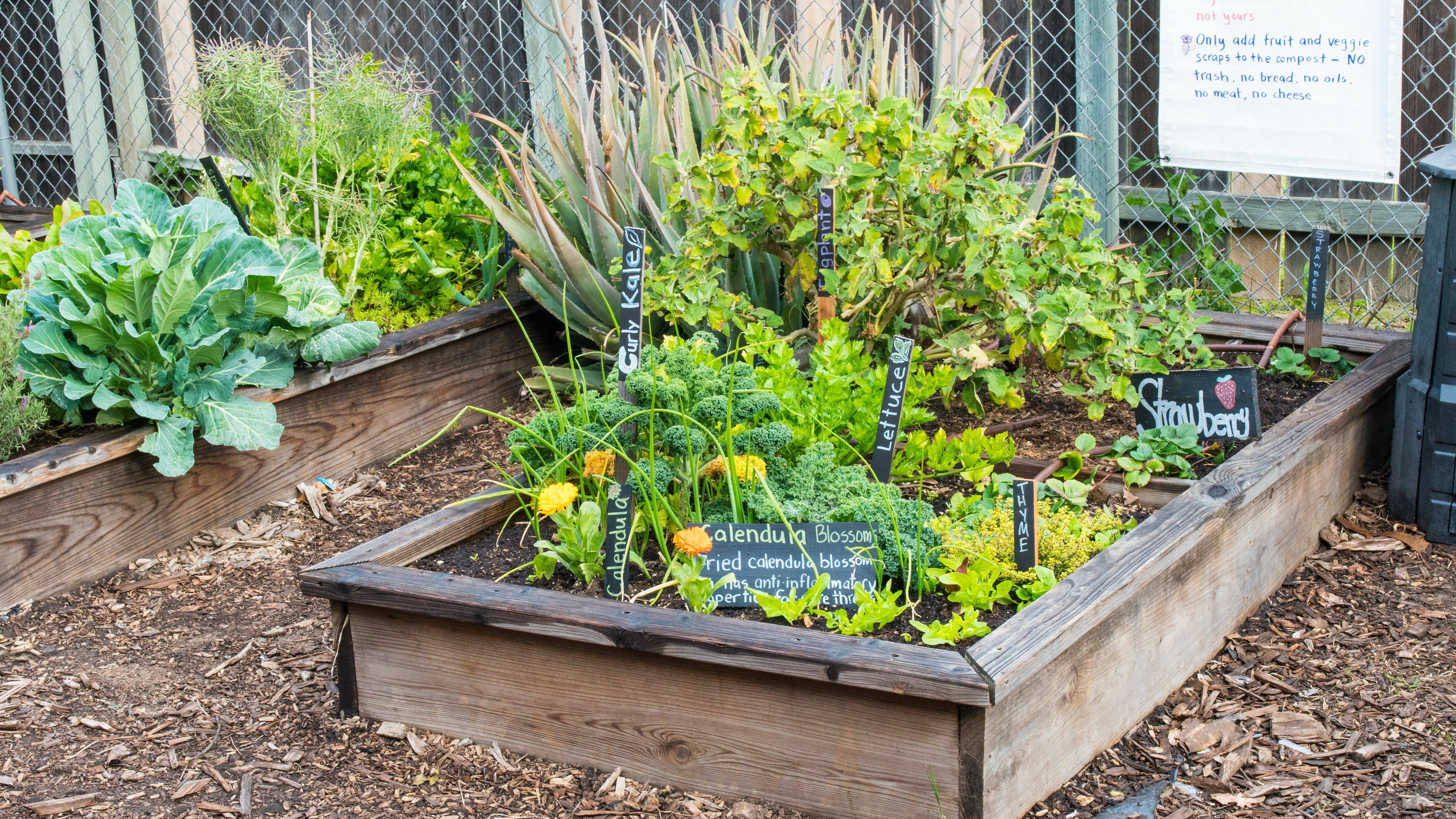 Sweet Simple School Garden Design Ideas Page