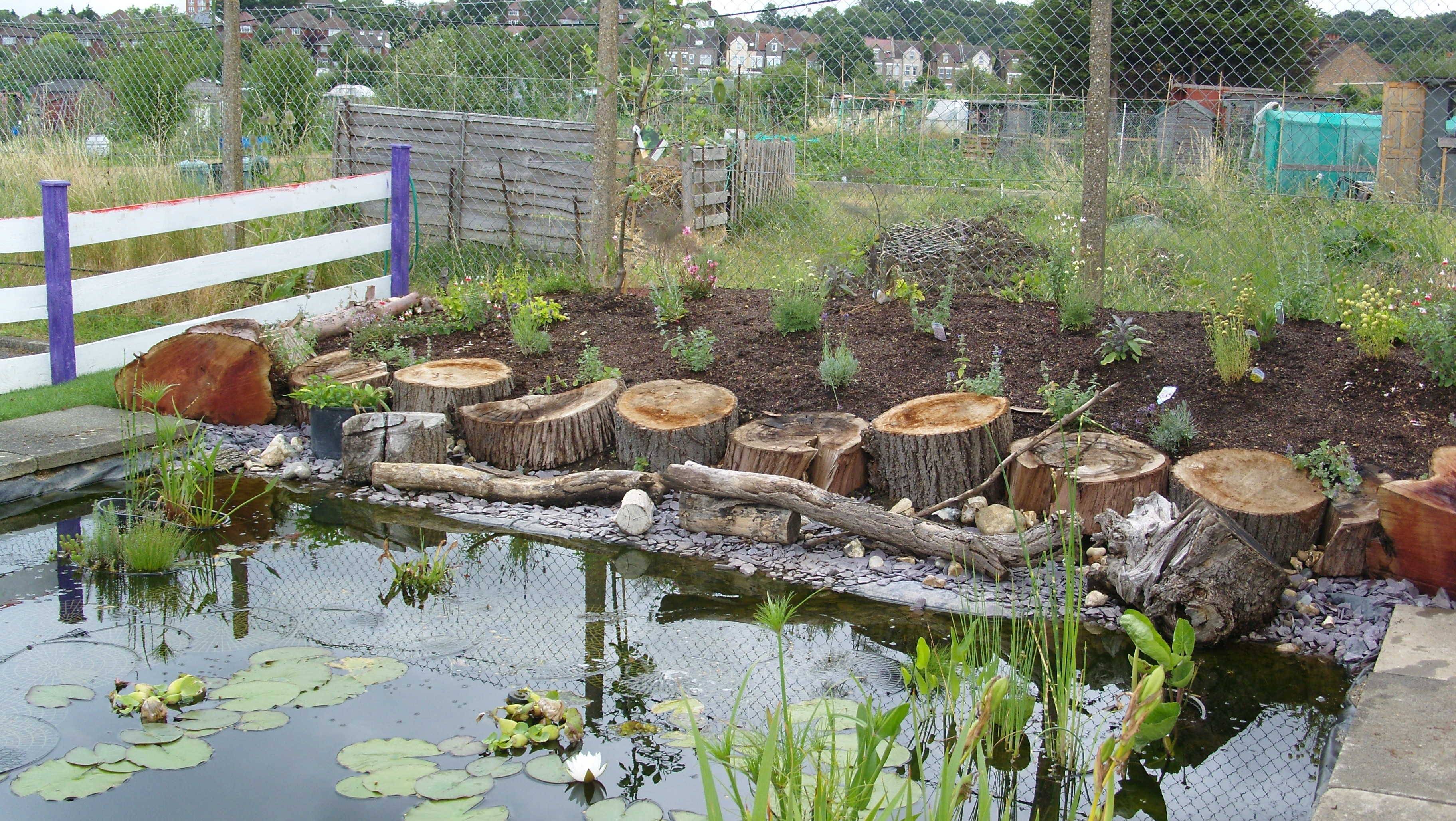 Sweet Simple School Garden Design Ideas Page