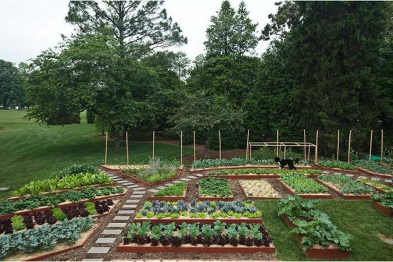 Cute And Simple School Garden Design Ideas