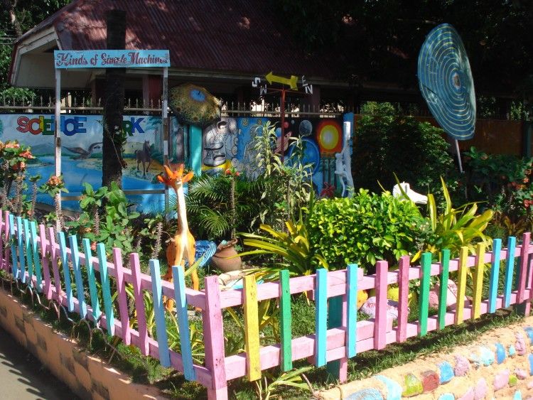 School Wildlife Garden And Pond Sarah Newton Garden Design
