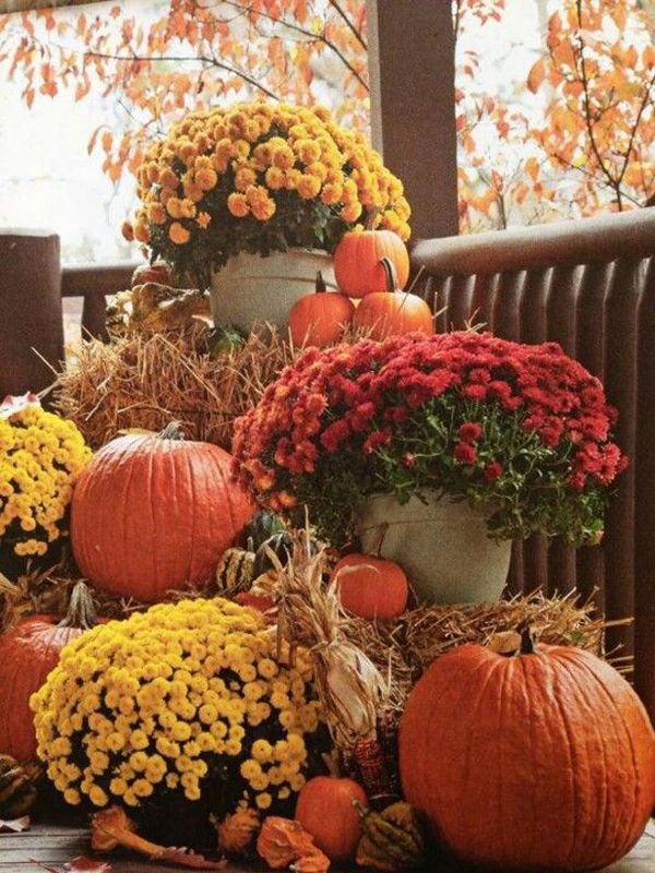 Diy Garden Idea