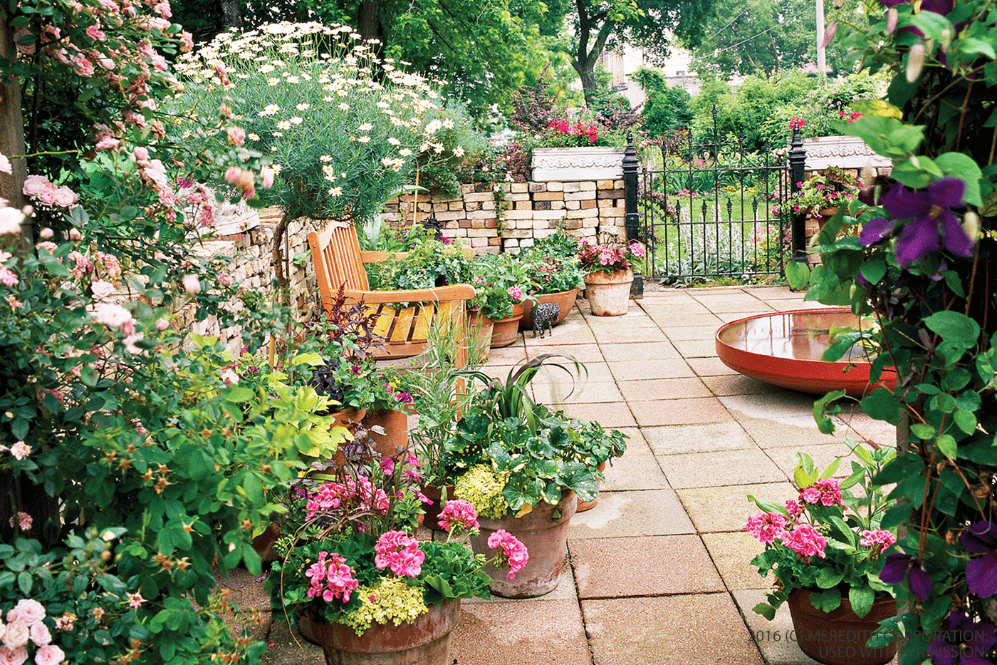 A Pretty Small Garden Space