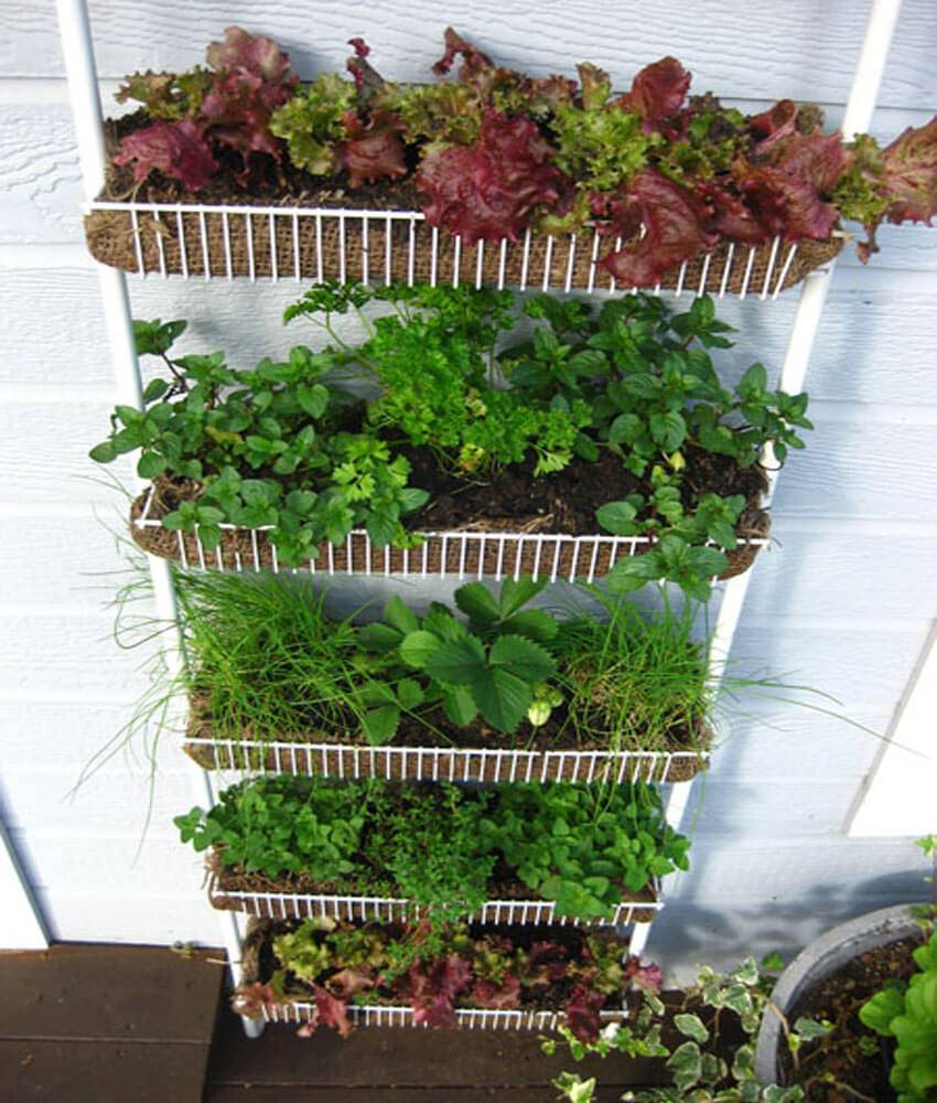 Repurposed Galvanized Containers Gardening Home