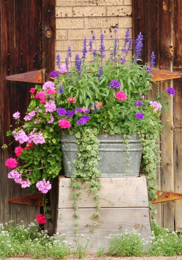 Repurposed Galvanized Containers Gardening Home