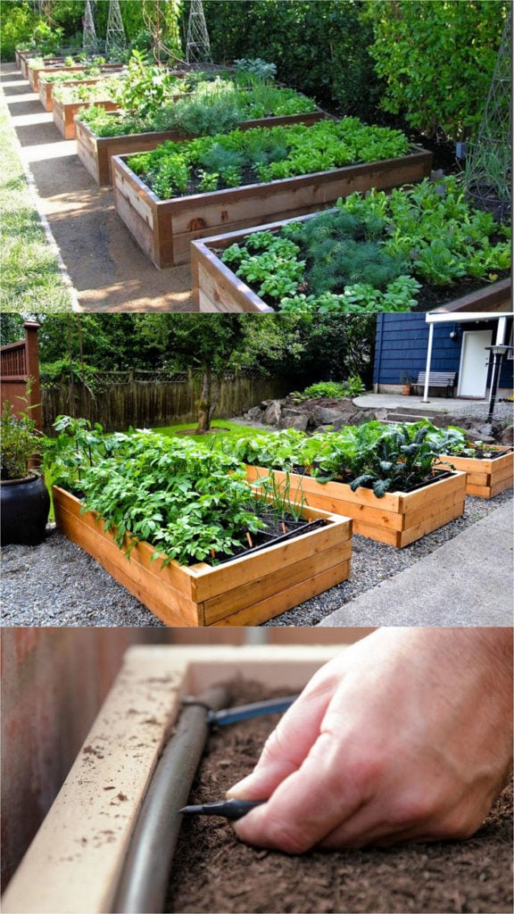 Raised Planter Box Vegetable Garden Valley Garages Ideas