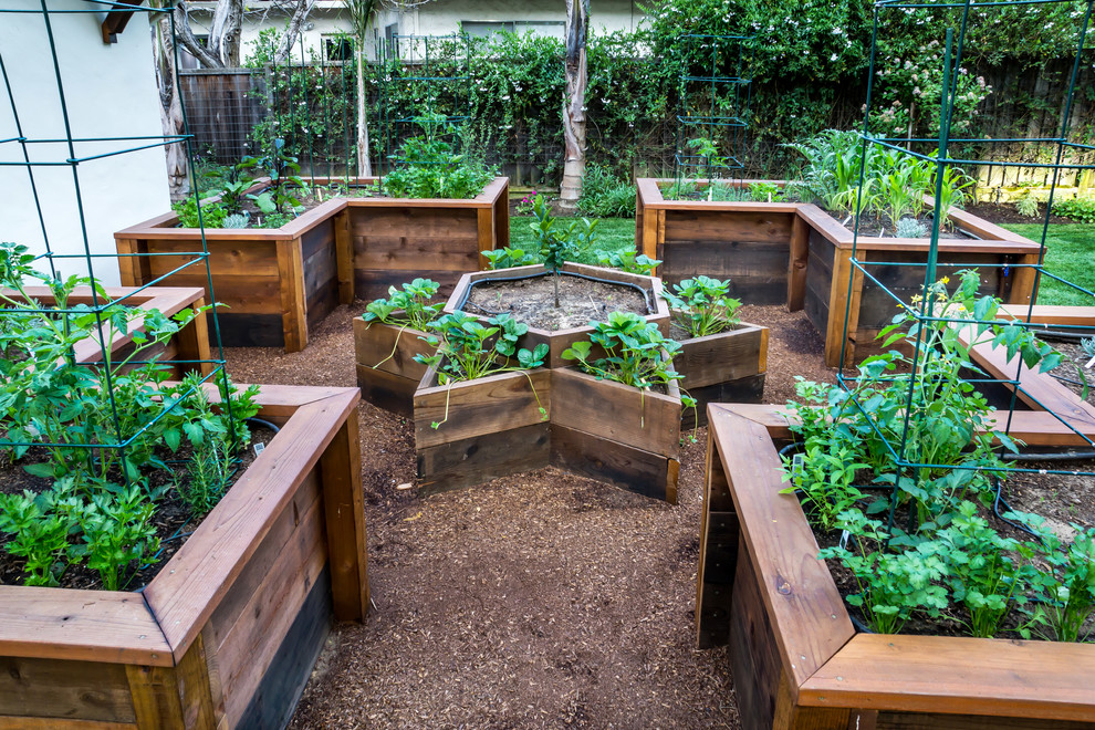 A Raised Bed