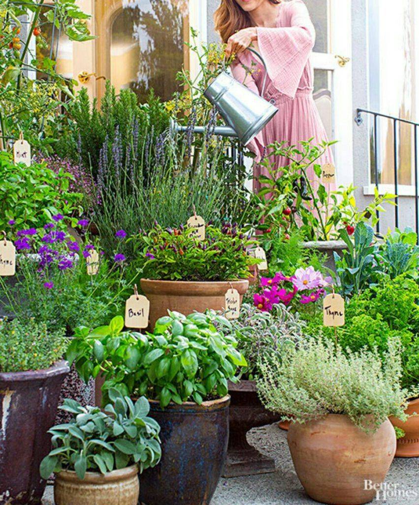 Adorable Diy Container Herb Garden Design Ideas Freshhome