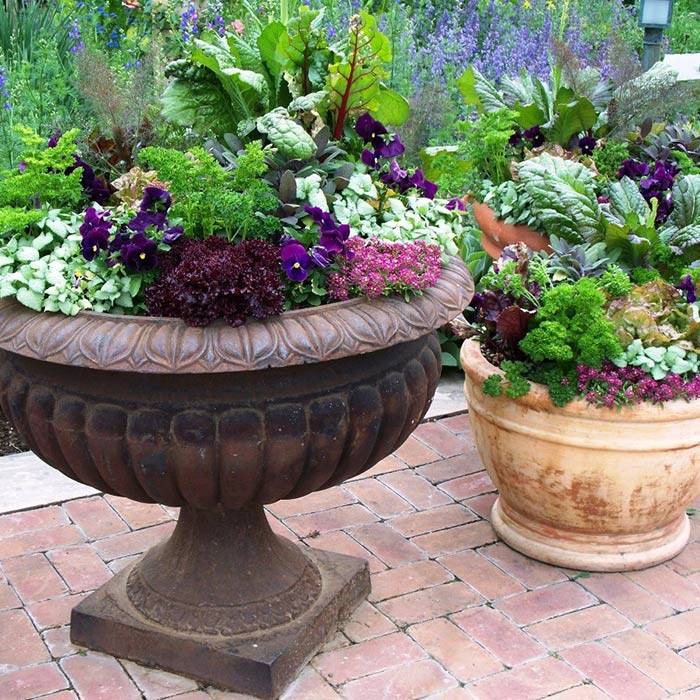 Interesting Diy Container Herb Garden Design Ideas