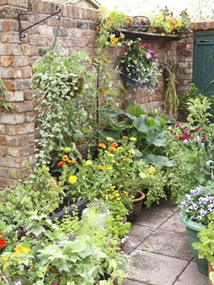 Beautiful Summer Container Garden Flowers Ideas Container