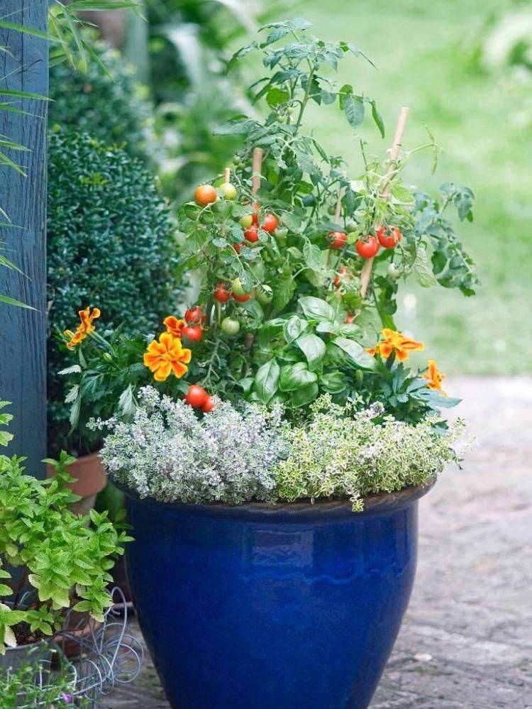 Container Herb Garden Ideas