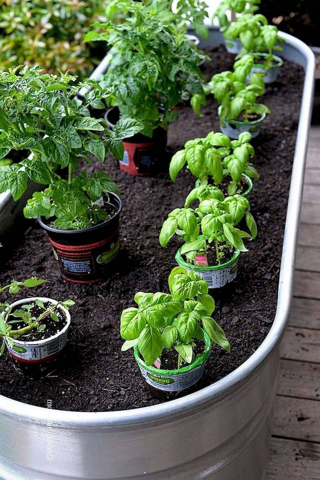Cool Adorable Diy Container Herb Garden Design Ideas Https
