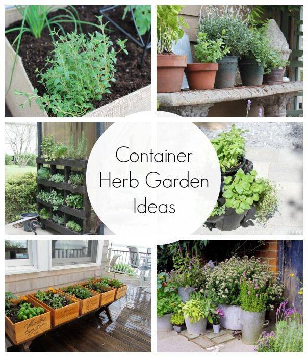 24 Container Herb Garden Ideas Worth to Check SharonSable
