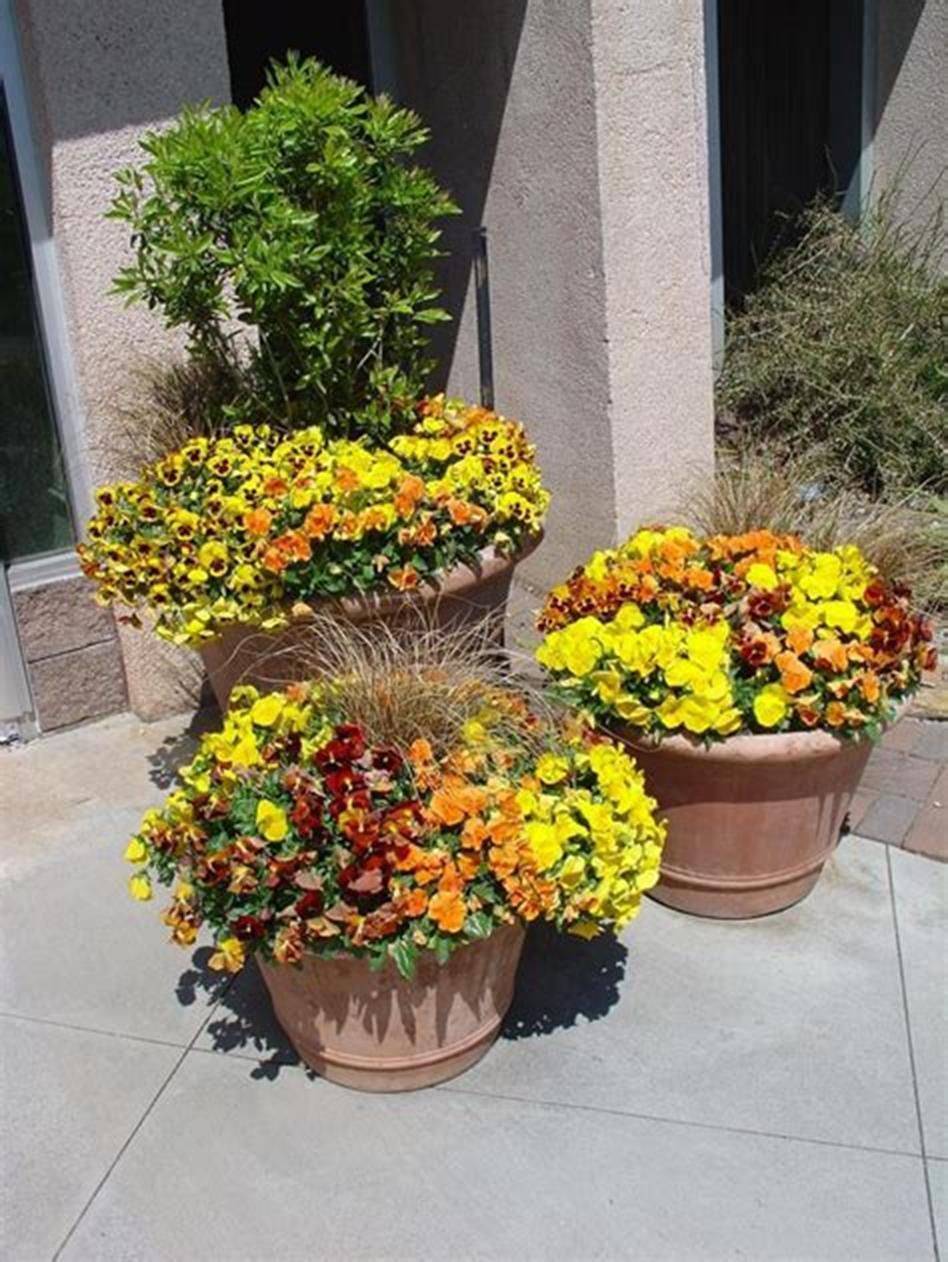 Creative Container Gardens Ideas