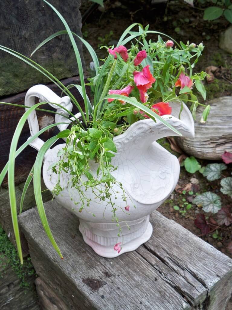 Container Gardening Ideas