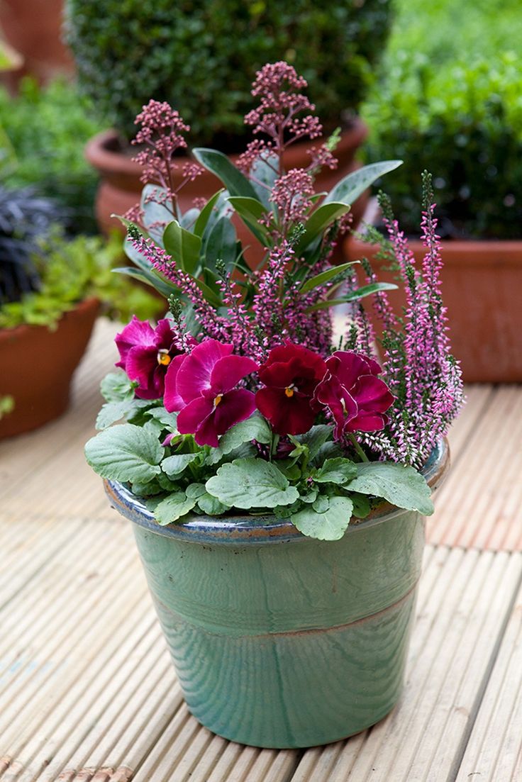 Beautiful Container Gardening Ideas Page