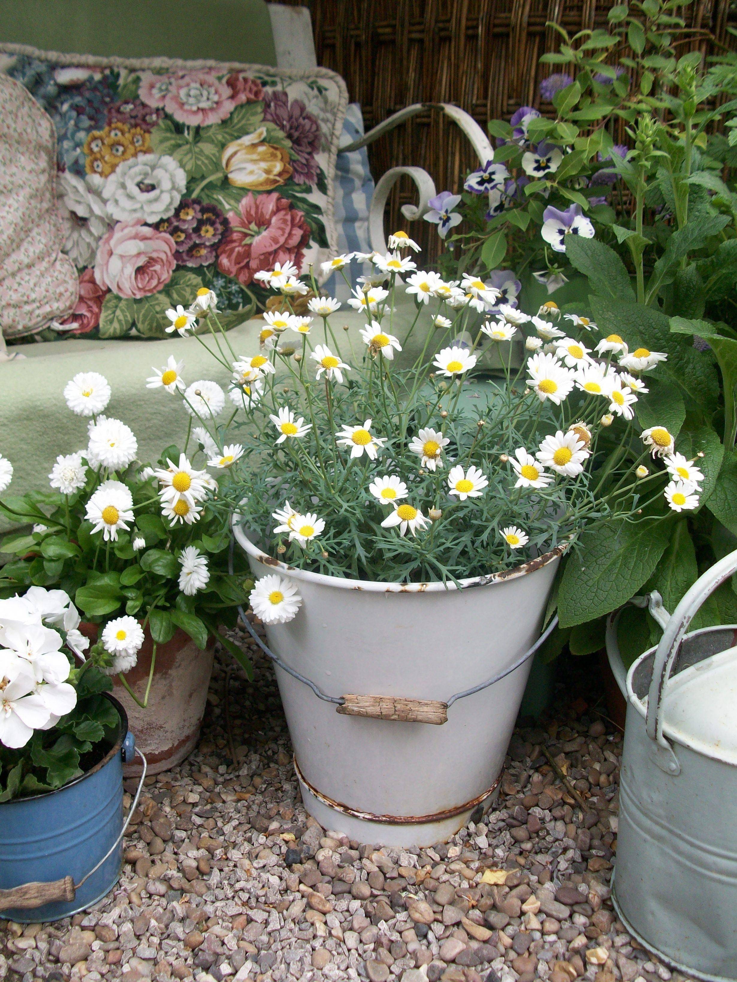 My Vintage Enamelware Bucket