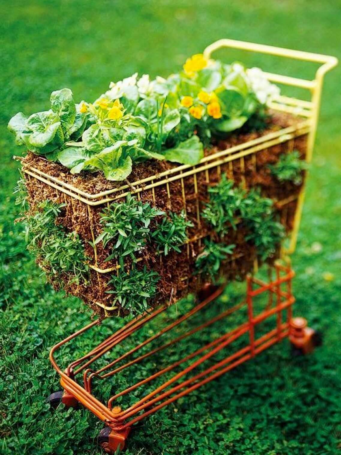 Upcycled Vintage Garden Containers