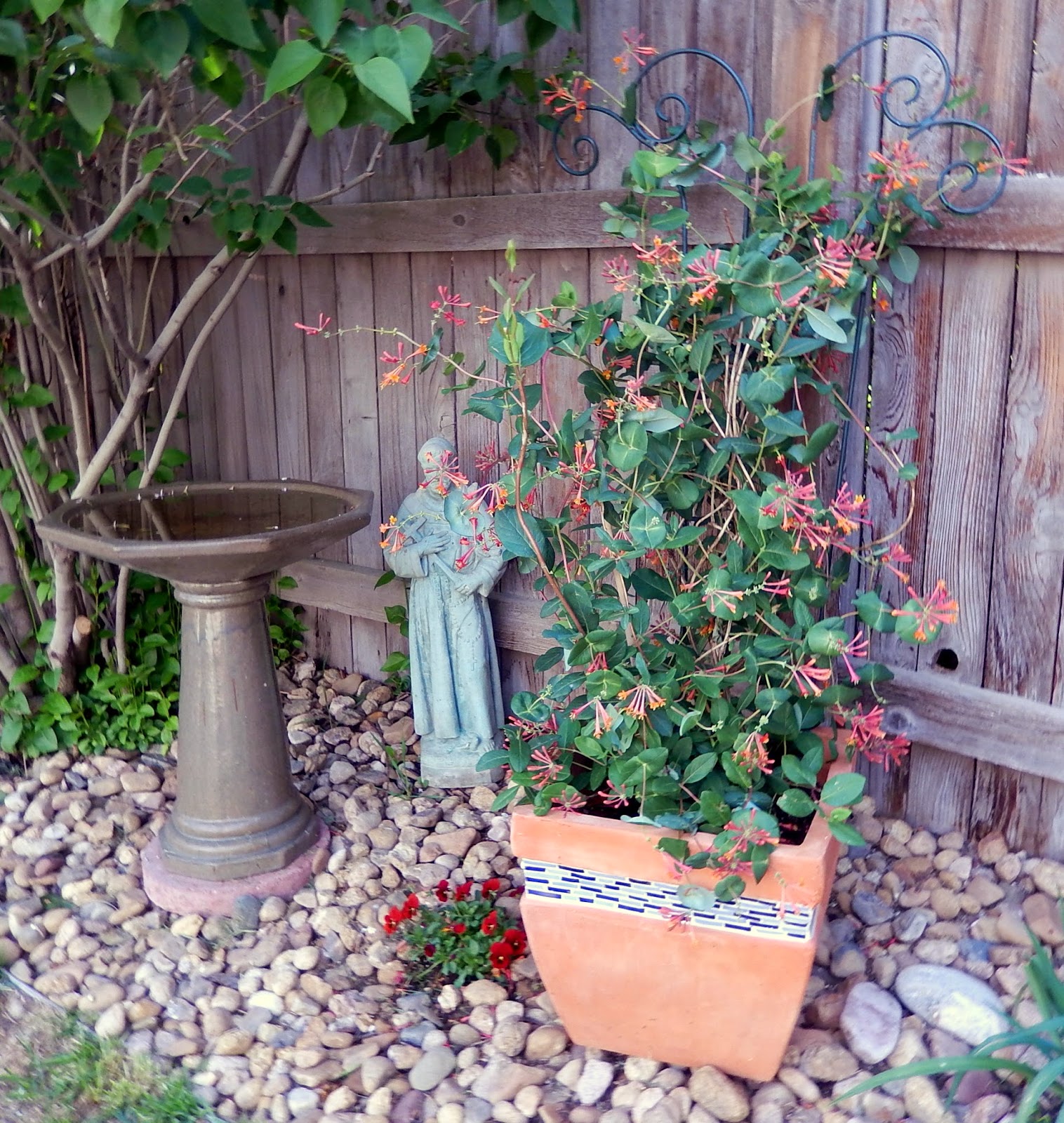 Container Gardening Flowers