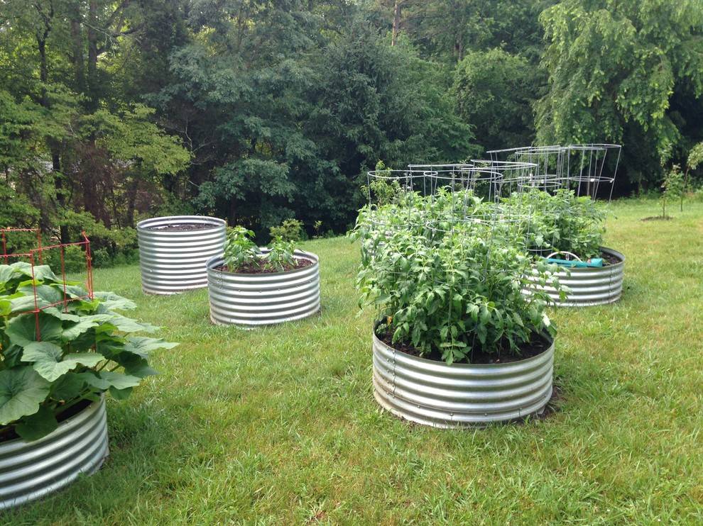 Gardengalvanized Raised Gardens