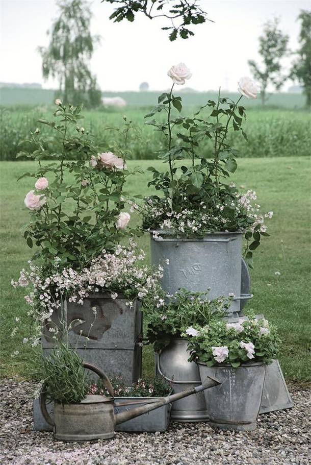 Gardengalvanized Raised Gardens