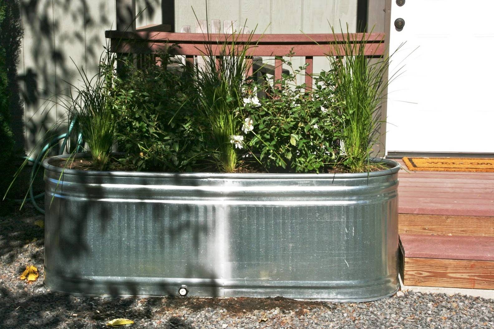Best Galvanized Tub Water Gardens Images