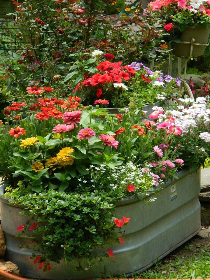 Repurposed Galvanized Containers Gardening Home
