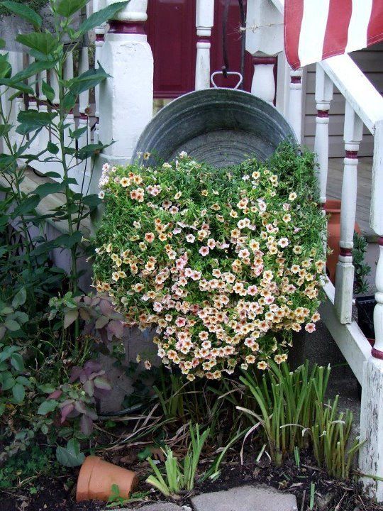 Repurposed Galvanized Containers Gardening Home