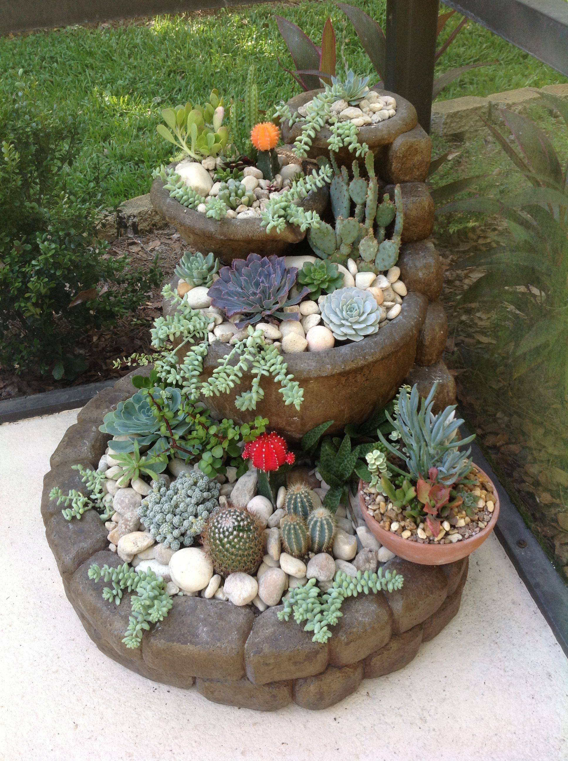 Incredible Cactus Garden Landscaping Ideas Best For Summer Magzhouse
