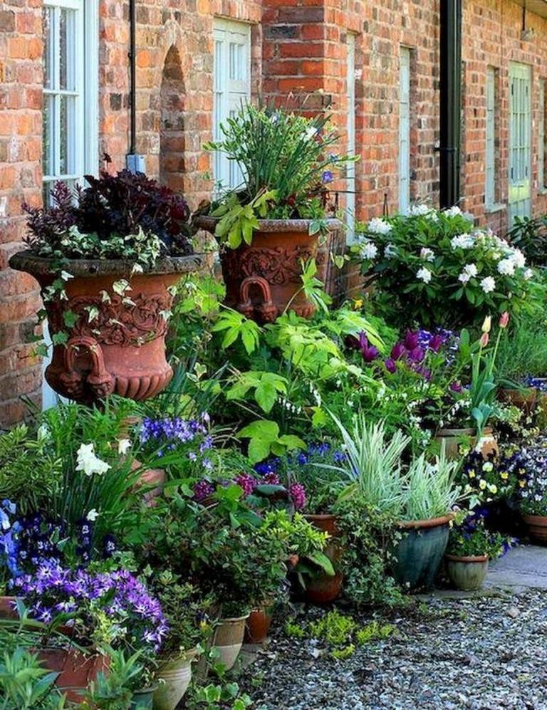 Most Beautiful Container Gardening Flowers Ideas