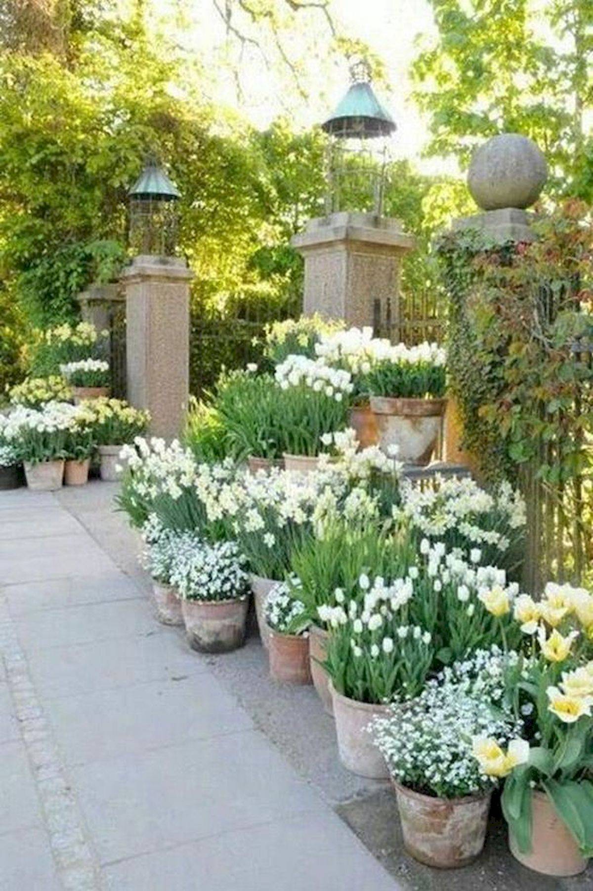 Best Patio Container Garden Design Ideas