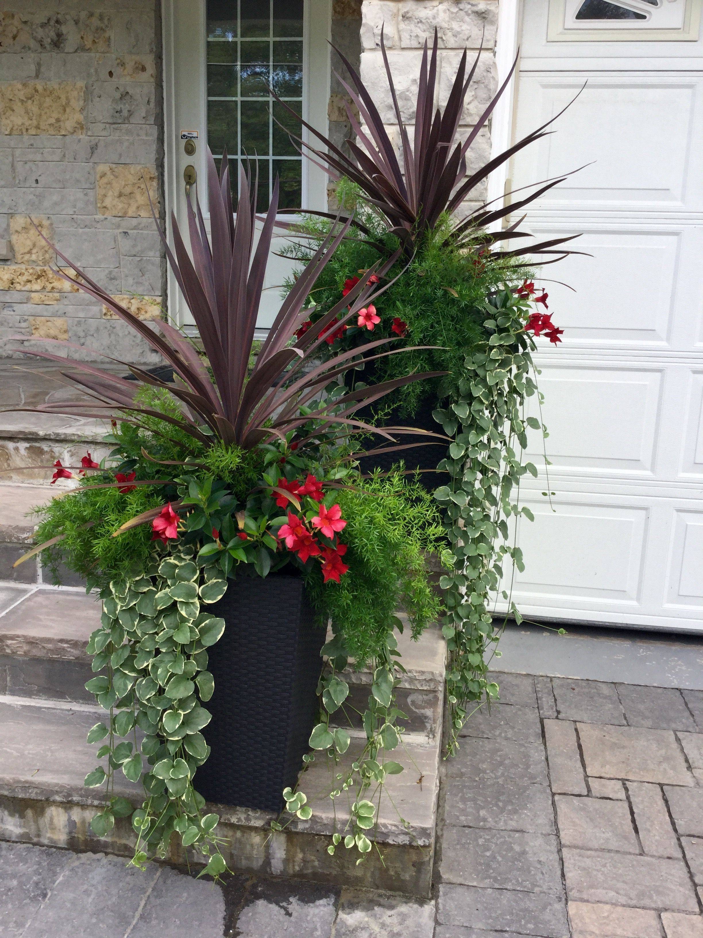 A Patio Container Garden