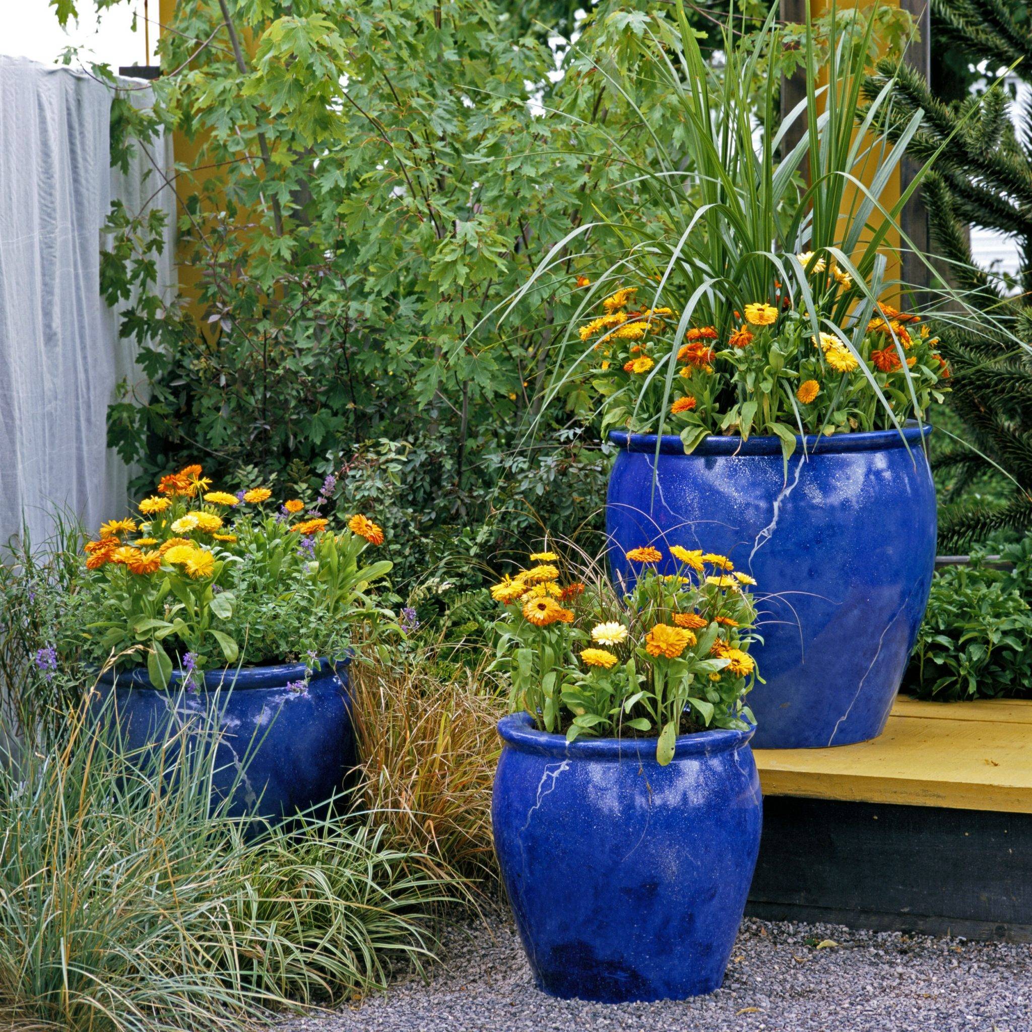 A Tiered Container Garden Southern Patio