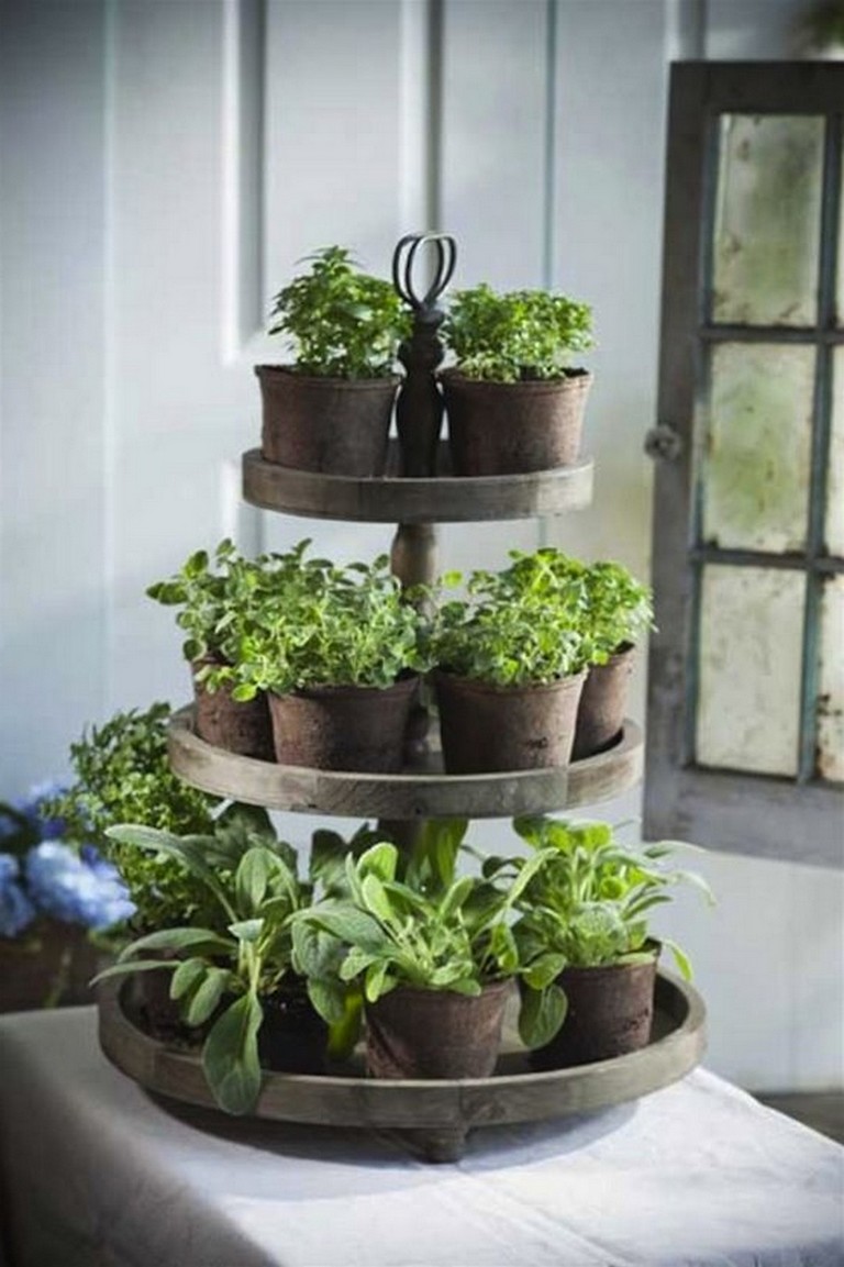 Stunning Indoor Wall Herb Garden Ideas Page