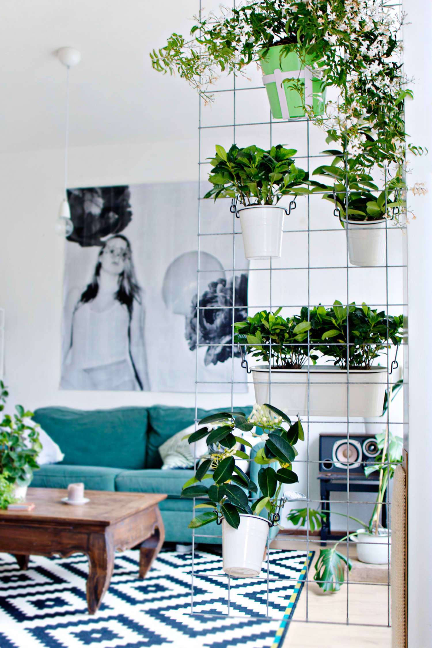 Glorious Indoor Garden Ideas